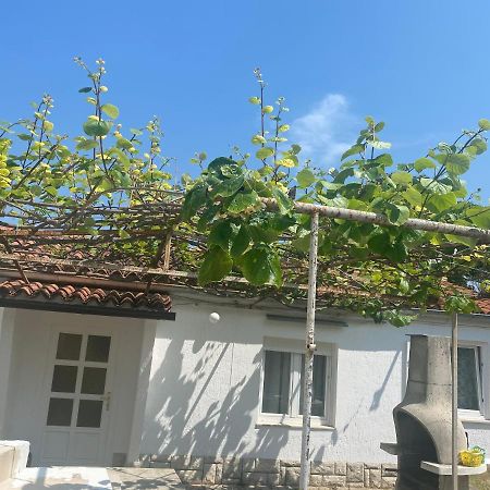Apartman Nela Διαμέρισμα Πόρετς Εξωτερικό φωτογραφία